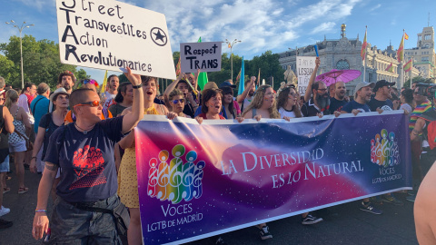 Pancarta de la asociación Voces LGTB de Madrid en el Orgullo 2019. /ESTEFANÍA ROSELLÓ