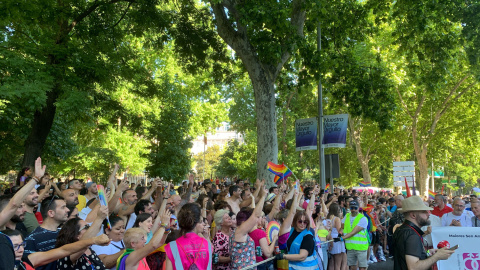 Miles de personas siguen la manifestación del Orgullo 2019 desde los laterales del Paseo del Prado de Madrid. /ESTEFANÍA ROSELLÓ