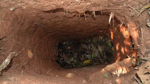 Uno de los agujeros hechos por el 'hombre del agujero'.