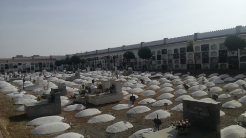 Tumbas de las víctimas del franquismo en el cementerio de Badajoz. / B.A