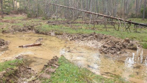 El paso de la maquinaria pesada con la lluvia deja zanjas que rompen el ecosistema del suelo.