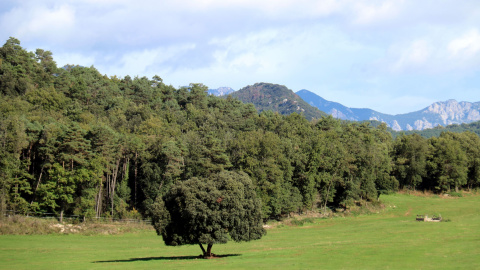 El projecte preveu la construcció d'un segon pantà al pla de Clarà, a la Nou del Berguedà