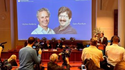 Victor Ambros y Gary Ruvkun ganan el Nobel de Medicina por el descubrimiento del microARN