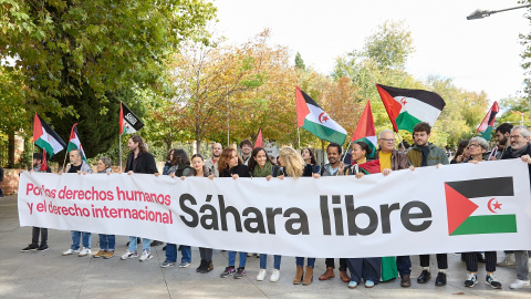 Imagen de la manifestación celebrada en noviembre de 2023 por el Sáhara Occidental en Madrid.