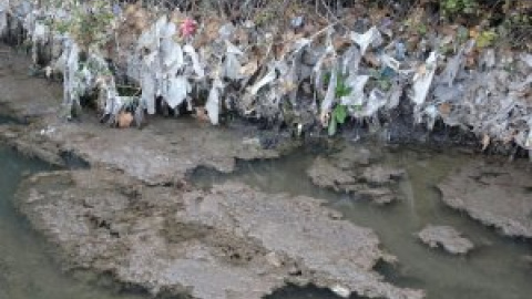 Los vertidos de aguas fecales dejan el río Jarama contaminado por miles de toallitas