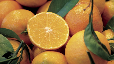 Clementines de les Terres de l'Ebre