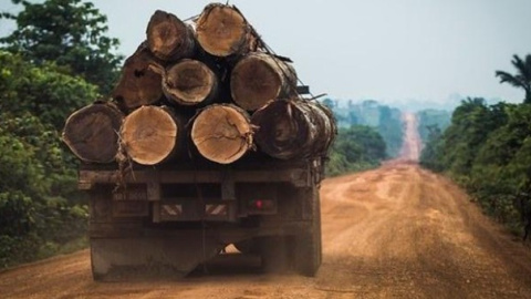 Deforestación en el Amazonas.