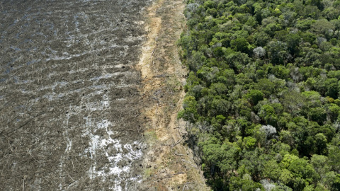 Vista área de la selva amazónica deforestada.