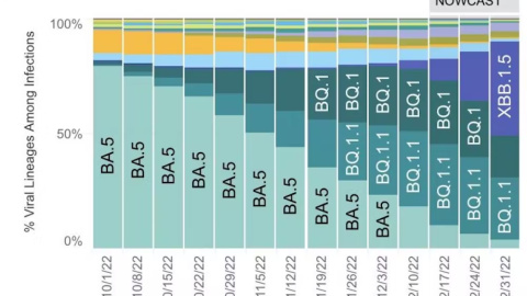 Proporción de variantes SARS-CoV-2 en Estados Unidos entre el 25 de septiembre y el 31 de diciembre de 2022