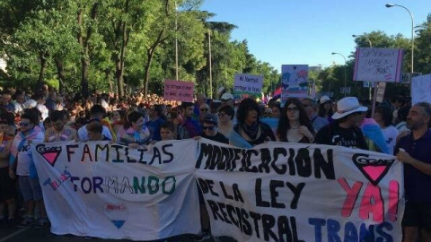 Manifestación por los derechos trans / COGAM