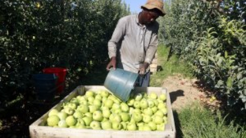 Més treballadors pobres: una de cada quatre persones que atén Càritas té feina