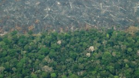 La deforestación en la Amazonía brasileña bate un nuevo récord en octubre y ya supera a todo 2021