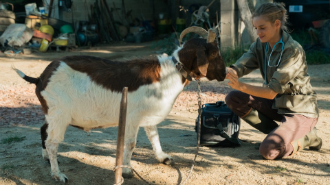 'Una veterinaria en la Borgoña'