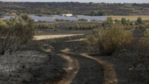 Detenido un peregrino en el Camino de Santiago como presunto autor del incendio forestal de Astorga (León)