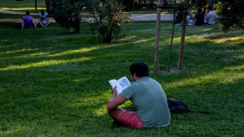 Una persona lee un libro sentada en el césped del parque del Retiro, a 4 de septiembre de 2022, en Madrid.