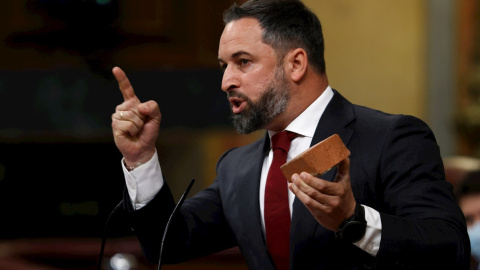 14/04/2021.- El presidente de Vox, Santiago Abascal, enseña un adoquín durante su intervención en el Pleno del pasado miércoles. EFE/Chema Moya