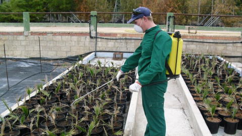 Trabajador de uno de los centros especiales de empleo que recibió las ayudas el pasado año, Fundown Plant.