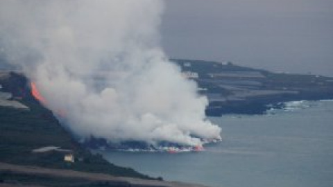 Así serán los efectos de la caída de la lava al agua para la vida marina de La Palma