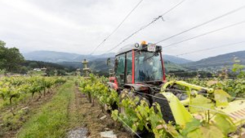 La PAC culmina su reforma más ambiciosa: así afecta a los agricultores españoles