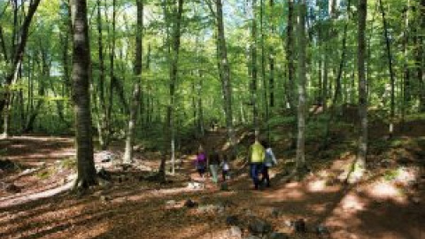 Set propostes per descobrir la terra volcànica de la Garrotxa