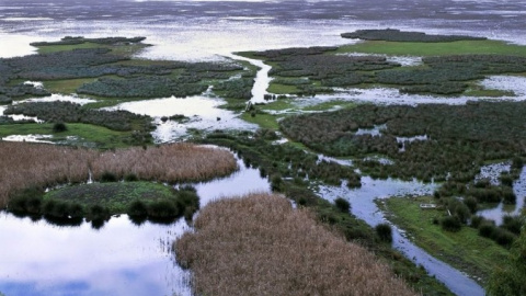 Humedales en el Parque de Doñana. EFE