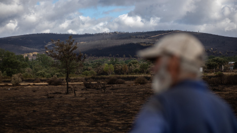 Un hombre mira el estado de la zona de Cabañas de Aliste tras el incendio sofocado hace dos días e iniciado el pasado día 15 en la Sierra de la Culebra, a 21 de junio de 2022, en Cabañas de Aliste, Zamora.