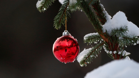 Detalle de un árbol de Navidad. / REUTERS - RUSSELL CHEYNE