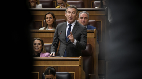 El presidente del PP, Alberto Núñez Feijóo, interviene durante una sesión de control al Gobierno, en el Congreso de los Diputados, a 16 de octubre de 2024.