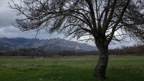 Paisaje de la sierra de Madrid sin nieve a 21 de diciembre de 2022