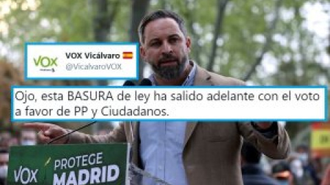 "¿Están furiosos porque la pederastia tarde más en prescribir?": críticas a Vox por un tuit en el que califican de "basura" la nueva ley de la infancia