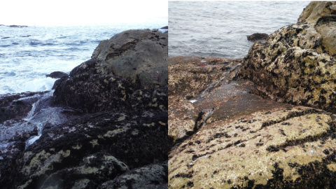 Antes .y después de la extracción de mexilla en las rocas de los bancos de percebes.