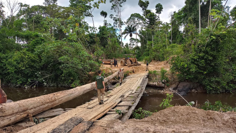 Operación Amazonia Viva, organizada por el estado brasileño de Pará. - ASCOM SEMAS PARÁ