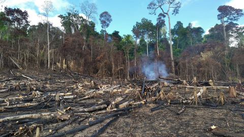 La deforestación ilegal en Brasil ha sufrido el peor mes de marzo de los últimos diez años. - ASCOM SEMAS PARÁ