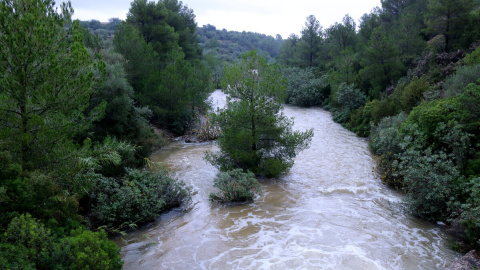 El barranc de Lloret baixa aigua del massís dels Ports al seu pas pel terme municipal de Roquetes (Baix Ebre).