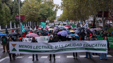 Cientos de personas durante una manifestación por la educación pública, desde Neptuno hasta Sol, a 29 de octubre de 2024, en Madrid (España).