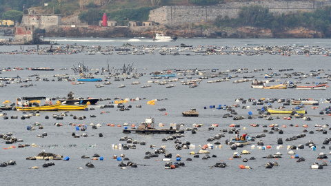 27/09/2021 Italia lanzaba el "Smart Bay" de Santa Teresa para estudiar el cambio climático en el mar Mediterráneo