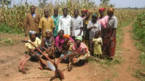 La muralla verde del Sahel o cómo salvar el suelo de la desertificación