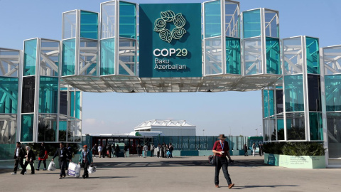 COP29