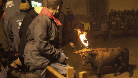 Celebración del Toro Jubilo en Medinaceli./ EFE