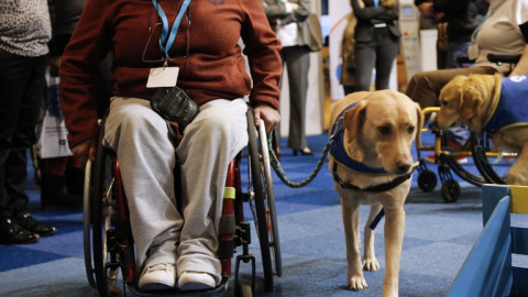 Una mujer discapacitada en silla de ruedas participa en una sesión de capacitación con un perro guía. AFP PHOTO