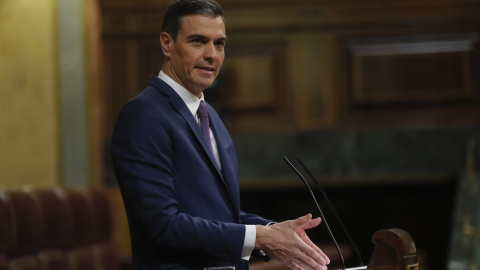 24/01/2023.- El presidente del Gobierno, Pedro Sánchez, interviene durante la sesión plenaria de este martes en el Congreso de los Diputados en Madrid. EFE/ Juan Carlos Hidalgo