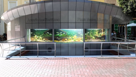 El acuario municipal de Plaza Nueva. Ayuntamiento de Alicante.