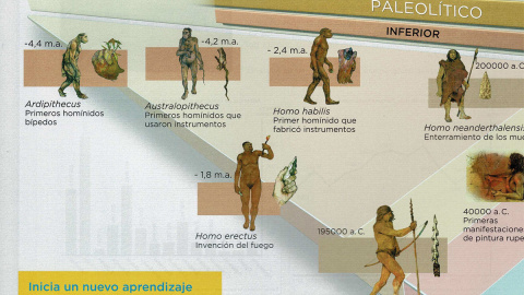 Esquema de la evolución de la especie humana en un libro de la ESO de la editorial Anaya, que muestra la imagen más desarrollada en un hombre de raza blanca frente a especies menos desarrolladas de piel más oscura.