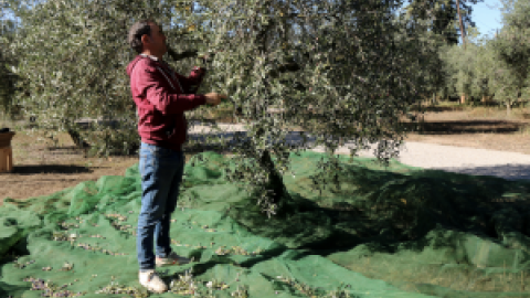 El camp català, al límit pels elevats costos de producció i la climatologia extrema