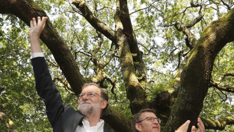 El presidente del Gobierno, Mariano Rajoy y el presidente de la Xunta, Alberto Núñez Feijóo, saludan al comienzo del acto de inicio del curso político  en la Carballeira de San Xusto, en la localidad pontevedresa de Cerdedo-Cotobade. EFE/Lavandeira jr