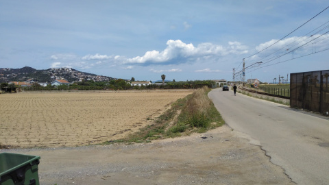 El vial agrícola que uneix Santa Susanna i Pineda de Mar.