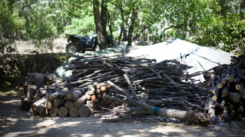 Restos de ramas y maleza cortada por los vecinos de la asociación Albur, en la comarca de La Vera, Cáceres.