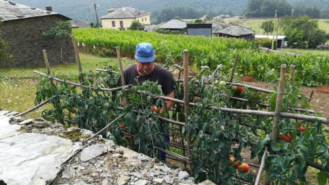 Agricultor en Miñagón