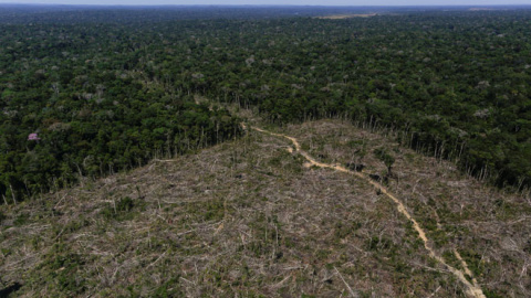 Zona deforestada del Amazonas en Apui, el sur del estado de amazonas /REUTERS (Bruno Kelly)