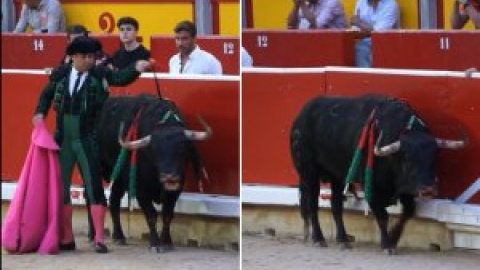 La cruel muerte de un toro en San Fermín reaviva las críticas a la tauromaquia: "Esto es una barbarie"